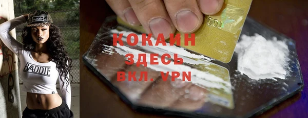 spice Аркадак