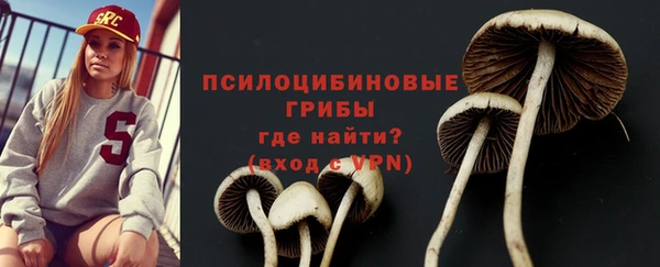 spice Аркадак