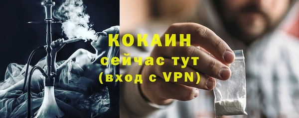 сатива Арсеньев