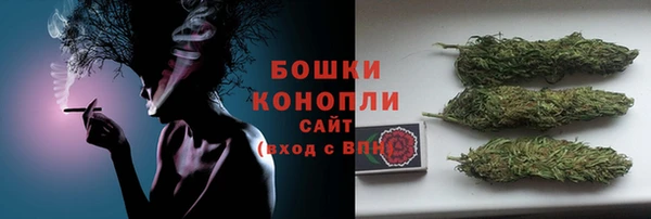 сатива Арсеньев