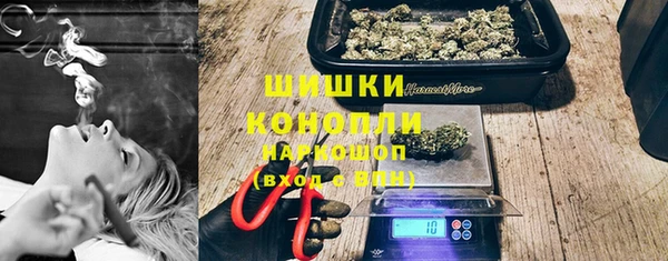 spice Аркадак