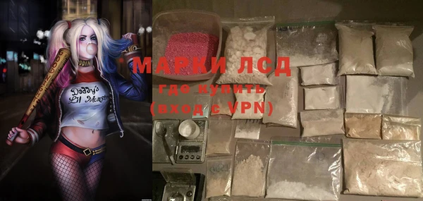сатива Арсеньев