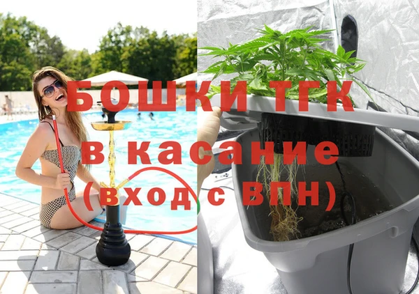 spice Аркадак