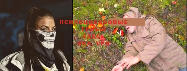 сатива Арсеньев