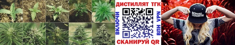 Дистиллят ТГК THC oil  Удомля 
