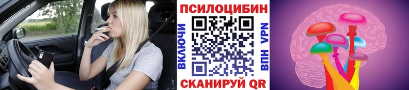 цена наркотик  Удомля  Псилоцибиновые грибы мицелий 