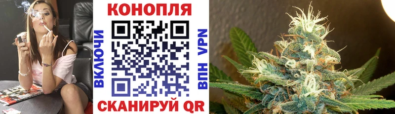 KRAKEN как войти Удомля МАРИХУАНА White Widow